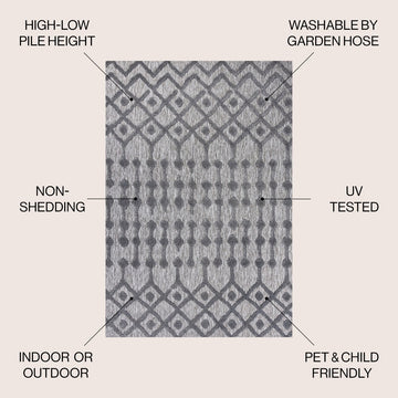 Peralta Moroccan Diamond Indoor/outdoor Area Rug